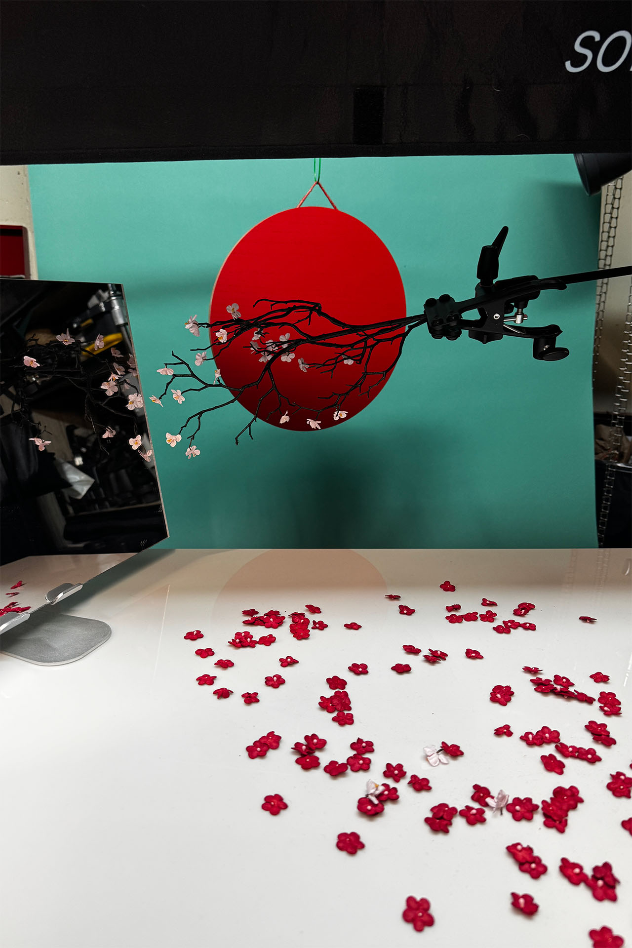 Styled teal studio set with a red circular prop and scattered flower petals on the floor