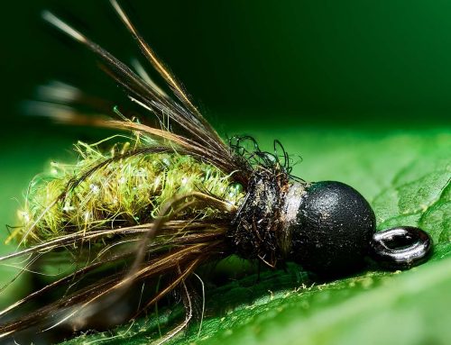 Reid Fishing Macro Photos