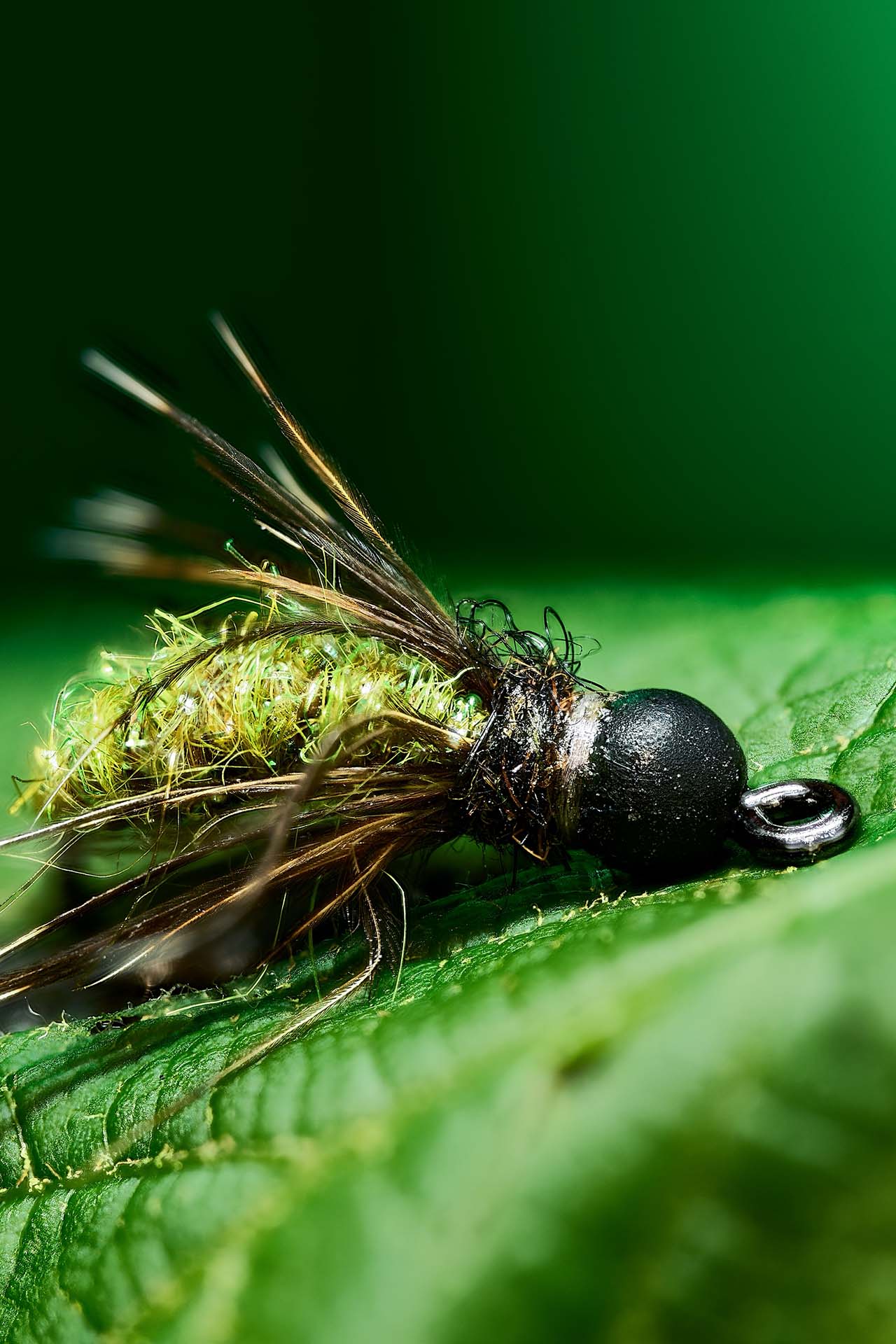 Macro product photo of an olive fly-fishing fly resting on a green leaf