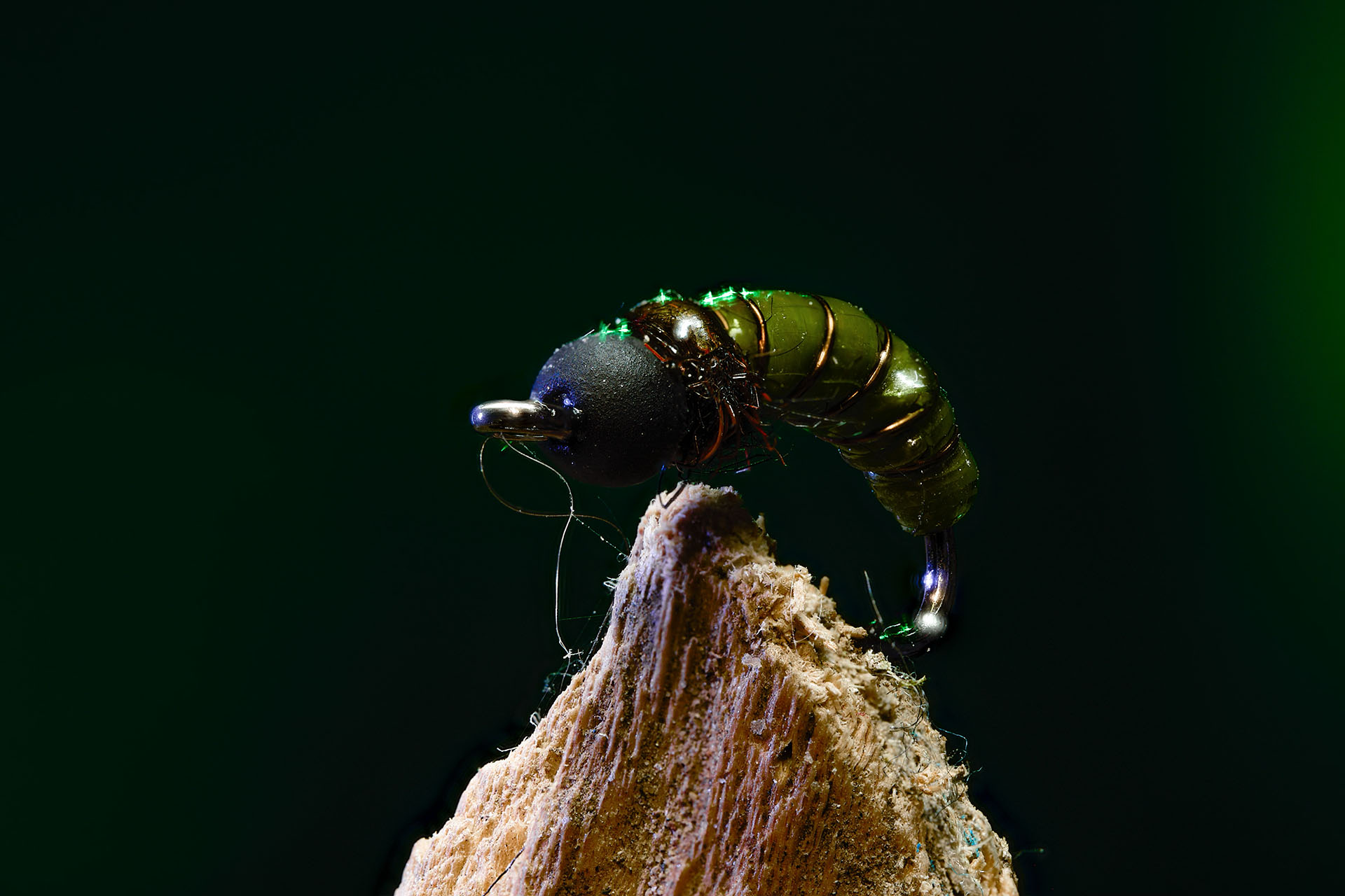 Macro product photo of an iridescent green fishing fly on a wood perch, alternate crop
