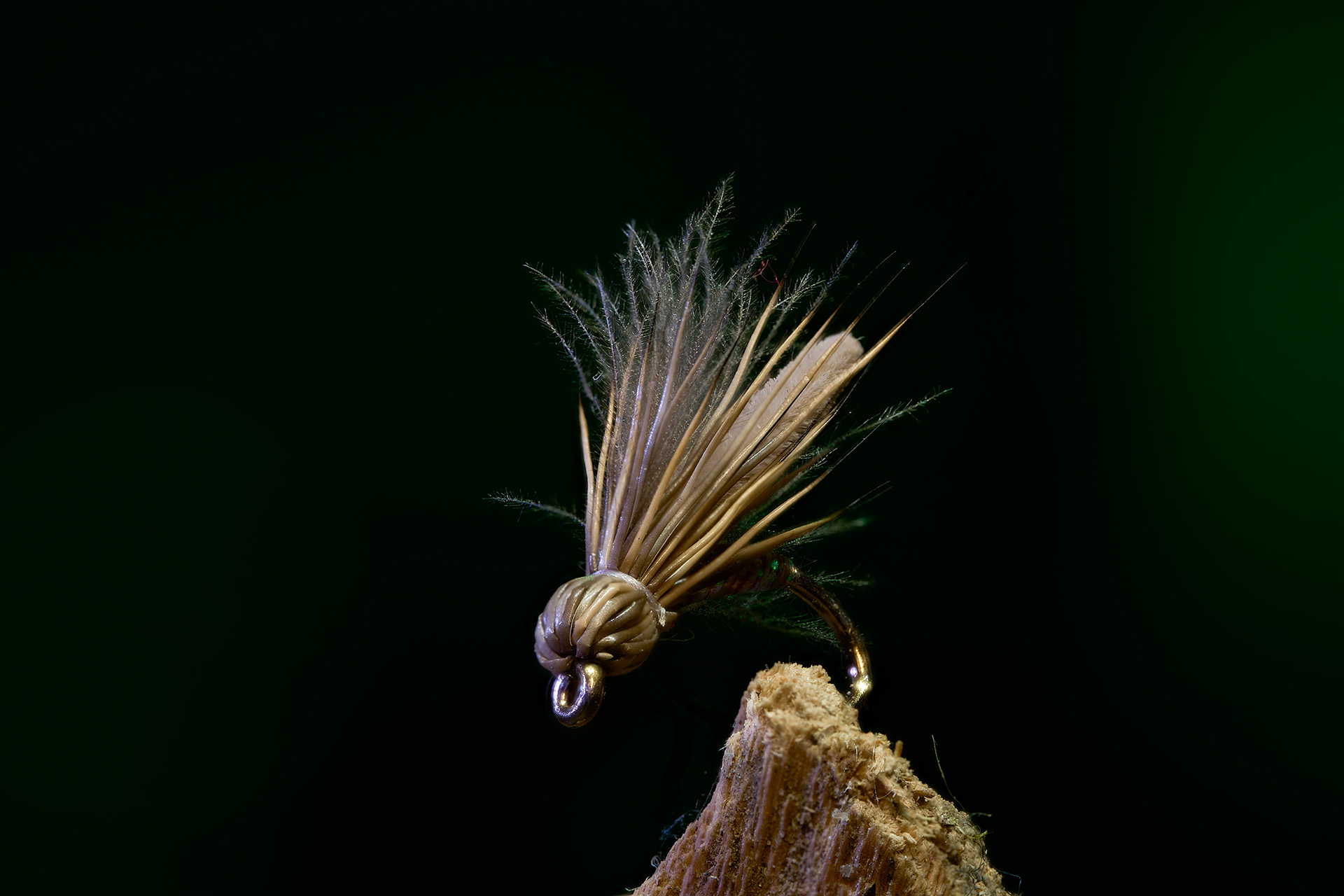 Macro photo of a tan hand-tied fishing fly mounted on a wood perch