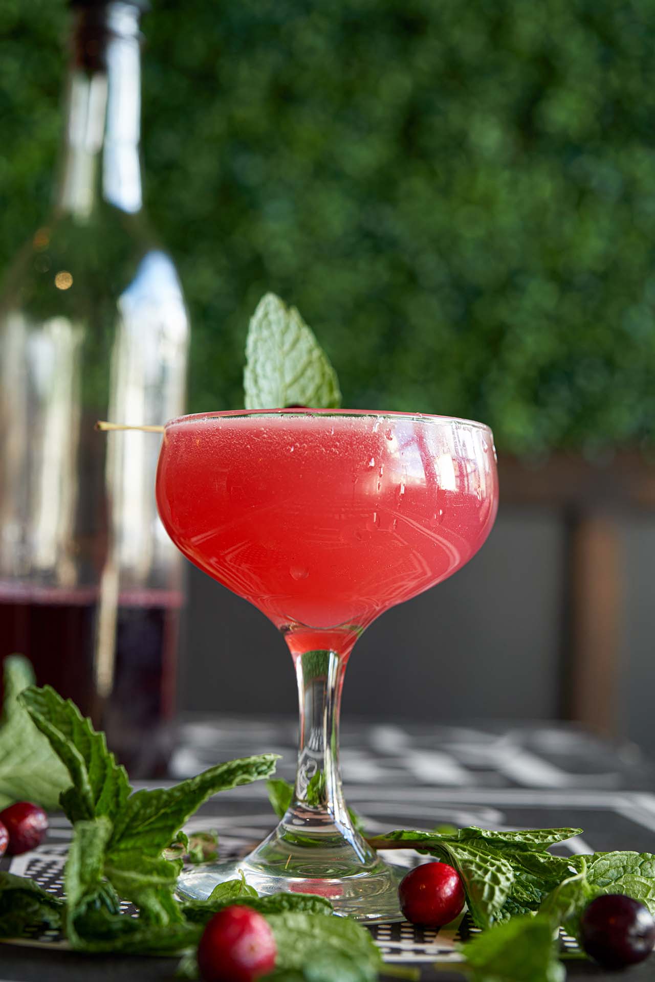 Mistletoe Martini cocktail garnished with mint and cranberries in a coupe glass, at Pretty Neat Bar